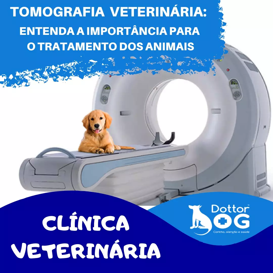 TOMOGRAFIA  VETERINÁRIA: ENTENDA A IMPORTÂNCIA PARA O TRATAMENTO DOS ANIMAIS